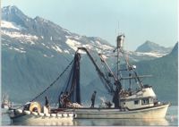 Commercial fishing in Prince William Sound Valdez Alaska